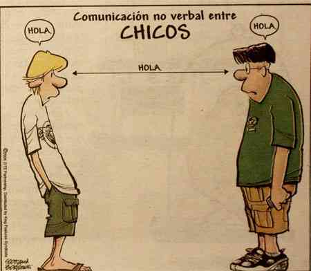 chicos