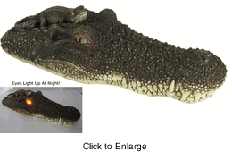 onlinediscountmart_1905_133982907.gif