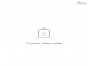 172232282 195023eb8a