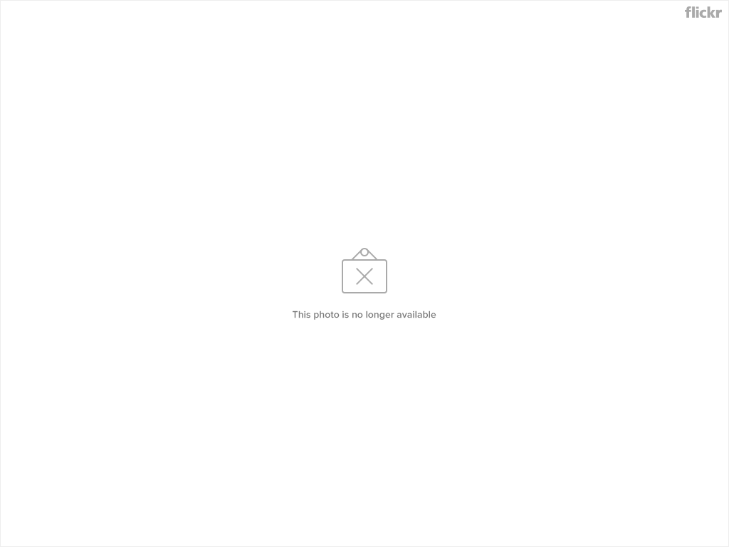 208095332 482b3677c9 o