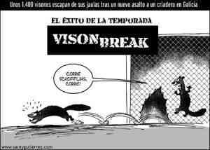 vison break