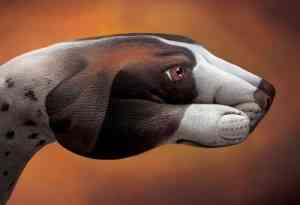 hand painting 16
