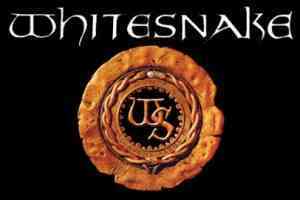 whitesnake 01