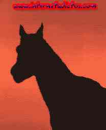 miradacaballo miradacaballo