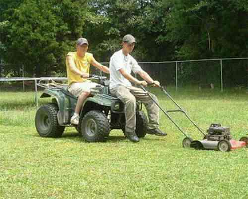 imagesgrass-cutting imagesgrass cutting