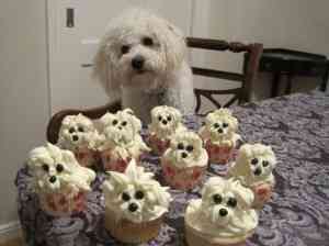 imagespupcakes