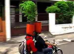 Potheads in Indonesia