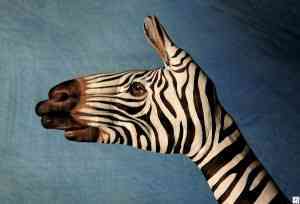 imageshand made giraffe thumb