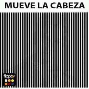 cabeza