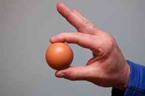 huevo gallina redondo