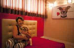 motel mascotas brasil