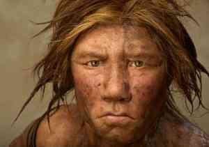neandertal