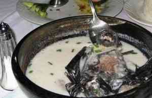 sopa murcielago
