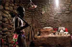 robo penes africa1