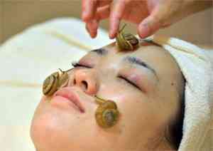 japon tratamiento caracoles1