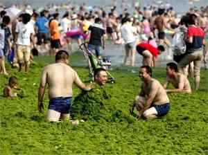 playas verdes china1