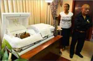 funeral mascota puerto rico1