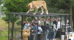 Orana Wildlife Park 500x200