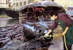 Explosiones ballenas
