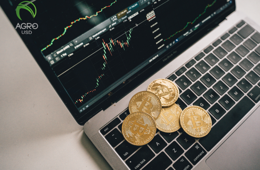 Nueva portada 6 Belén Garmendiaz